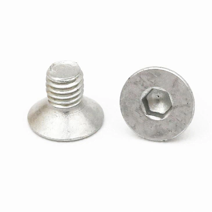 Precision Torx Galvanized Special Head Screw