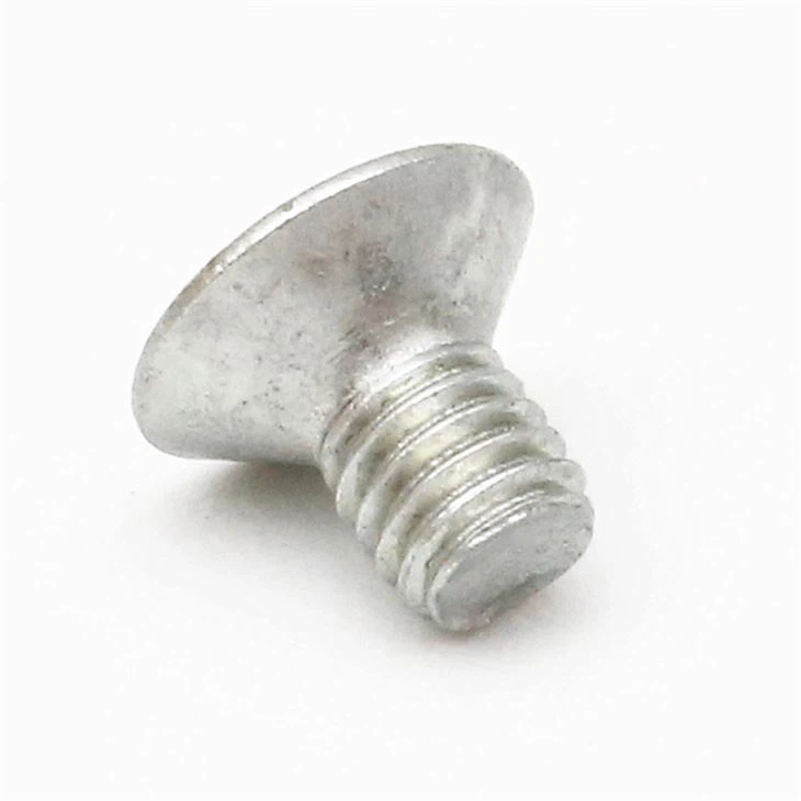 Precision Torx Galvanized Special Head Screw
