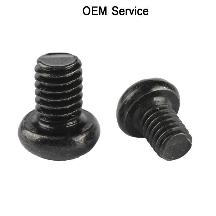 Oval Head Phillips Screw Black