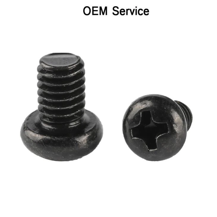 Oval Head Phillips Screw Black