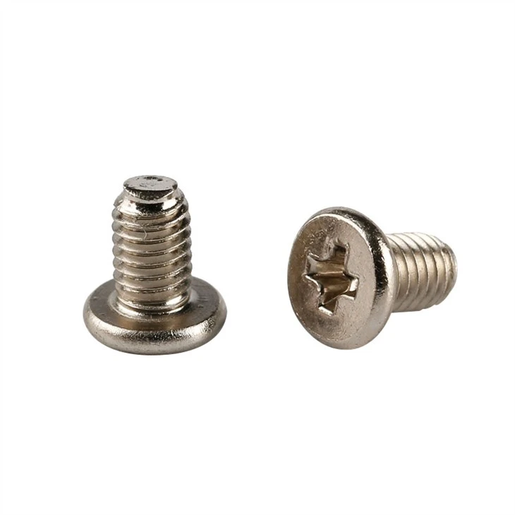 Stainless Steel Micro Screws